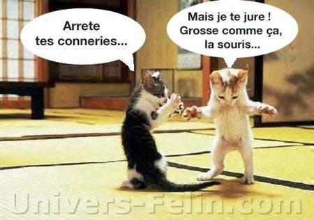 lloll
